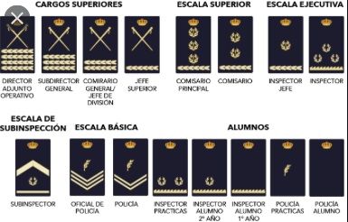 Escalas, Categorías y Divisas